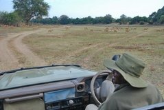 zambia5137