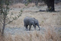 zambia5164