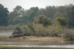 zambia5174