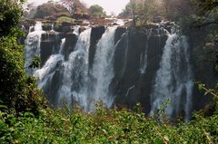 zimbabwe1019