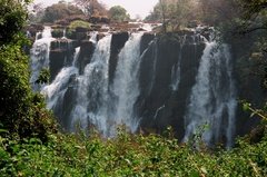 zimbabwe1019