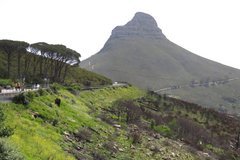 zuid-afrika1135