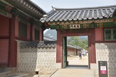 zuid-korea1556
