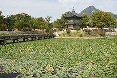 zuid-korea1579