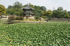 zuid-korea1581