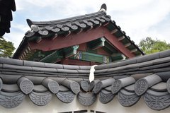 zuid-korea1600