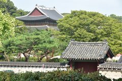 zuid-korea1701