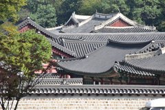 zuid-korea1703