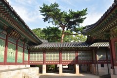 zuid-korea1753