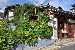 zuid-korea3131