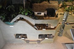 zuid-korea3570