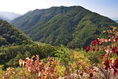 zuid-korea6019