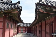 zuid-korea6584