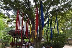 zuid-korea6781