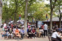 zuid-korea6797