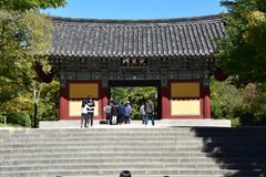 zuid-korea7009