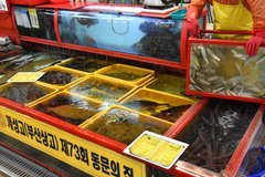 zuid-korea8038