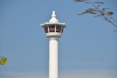 zuid-korea8073